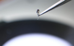 A un mois des JO de Paris, la dengue et d'autres arboviroses plus que jamais sous surveillance