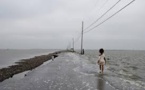 Dix ans après Katrina, une île de Louisiane disparaît, avalée par l'érosion
