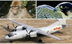 Pékin déploie des faucons et des singes avant son grand défilé militaire