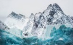 Les glaciers du Spitzberg engagés dans une folle course vers les fjords
