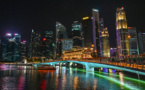 Singapour, très énergivore, s'intéresse aux déserts et aux forêts de ses voisins