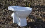 Danger, WC ! Une femme blessée dans l'explosion de toilettes en Autriche