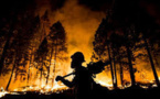 Les incendies californiens menacent les majestueux séquoias