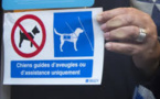 Un pictogramme pour l'accueil des chiens guides, partout, comme le veut la loi