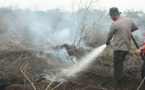 Des incendies pour la culture d'huile de palme: l'Indonésie s'attaque à des sociétés suspectes