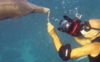 Éric Demay, l'homme qui murmurait à l'oreille des dauphins