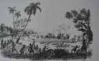 43 récits de cannibalisme et l'Histoire des îles océaniennes en fil rouge