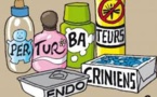 La reproduction humaine menacée par des produits chimiques toxiques