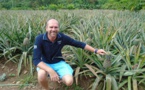 Le ministre de l’Agriculture en visite à Moorea :  point sur les lots agricoles affectés à la culture d’ananas