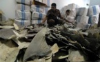 Indonésie: 3.000 nageoires de requins en partance pour Hong Kong confisquées