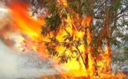 Multiplication des incendies de forêt en Nouvelle-Calédonie
