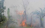 Incendies en Indonésie: l'aide internationale ne suffira pas