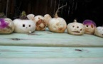 Halloween: English Heritage veut remplacer les citrouilles par des navets