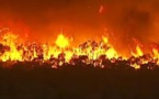 Deux morts dans des feux de forêt dans le sud de l'Australie