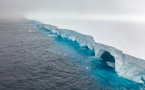 Où le plus grand iceberg du monde finira-t-il sa course?