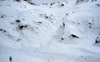 Alpes: quatre skieurs norvégiens et une Suissesse tués dans deux avalanches