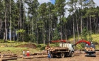 La scierie SEBM s’attaque au plateau de Toovii