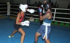 Boxe - Les jeunes de PBA chauffent Fautaua
