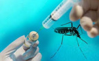 Le vaccin contre la dengue de Sanofi Pasteur, le premier au monde, autorisé au Mexique