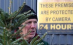 Noël en Irlande: la chasse aux voleurs de sapins bat son plein