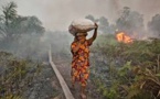 Indonésie: les incendies de forêts vont coûter 1,9% du PIB (Banque mondiale)