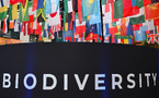 "Question de survie" : le monde se dispute à Rome sur le financement de la sauvegarde de la nature