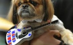 A New York, Times Square aboie au rythme d'un concert canin