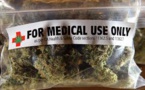 Le cannabis à usage médical fait son entrée à New York