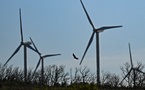 Oiseaux protégés: la justice ordonne l'arrêt temporaire du parc éolien d'Aumelas dans l'Hérault