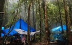 Une touriste américaine victime d'un viol collectif en Papouasie