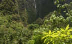 Carnet de voyage à Hakaui : une chute spectaculaire de 350 m !