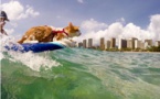 Kuli, le chat surfeur le plus cool de Oahu à Hawaï (vidéo)