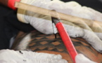 La communauté des tatoueurs réfléchit à la mise en place d'un label