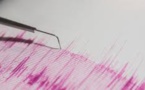 Mexique : séisme de magnitude 6,6 au large de la côte Pacifique