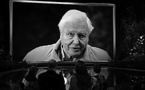A 99 ans, David Attenborough sort un nouveau film sur les océans