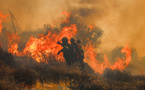 Grèce: des milliers de touristes évacués en raison d'un incendie en Crète