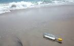 Une bouteille à la mer d'un peintre newyorkais retrouvée par ...une peintre charentaise