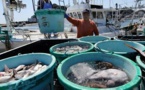 La vie houleuse des pêcheurs de Fukushima