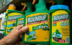 Pesticides: l'Europe envisage de renouveler l'autorisation du glyphosate