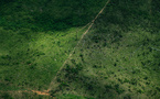 Amazonie brésilienne: remonter la trace d'indigènes isolés pour protéger la forêt