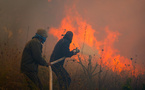 Chypre: l'incendie dévastateur désormais contenu