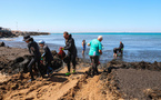 Face à une algue brune invasive, l'Algérie nettoie ses plages