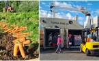 ​Les carottes de Tubuai sont arrivées