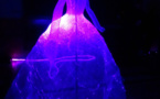 Une "robe luminescente" qui s'allume en fonction des mouvements présentée à Mulhouse