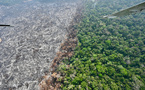 Brésil: la forêt amazonienne amputée d'une surface équivalente à l'Espagne en 40 ans