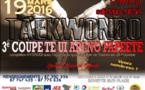 Taekwondo : Te Ui Api no Papeete organise sa troisième coupe ce samedi!