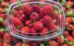 Les premières fraises de Tubuai à la foire agricole