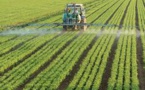 Sans pesticides, le problème des impasses technologiques sur les cultures