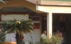 Un enfant de 3 ans grièvement mordu par des chiens à Taha'a