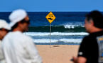 Une attaque de requin fait un mort et un blessé en Australie